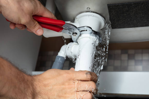 Best Water damage restoration experts  in Collings Lakes, NJ
