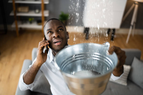 Best Mold removal after water damage  in Collings Lakes, NJ