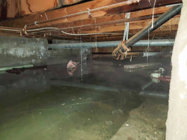 Best Emergency water damage restoration  in Collings Lakes, NJ