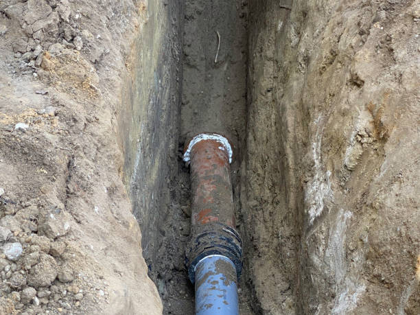 Best Basement water damage restoration  in Collings Lakes, NJ