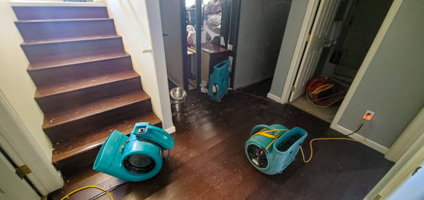 Best Water damage restoration services  in Collings Lakes, NJ