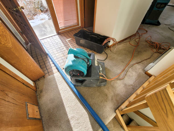 Best Water damage restoration specialists  in Collings Lakes, NJ