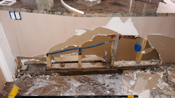 Best Local water damage restoration  in Collings Lakes, NJ