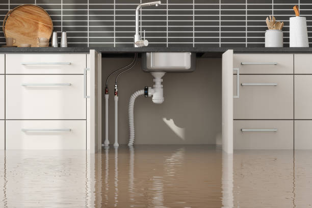 Best Water damage restoration near me  in Collings Lakes, NJ