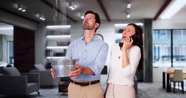  Collings Lakes, NJ Water damage restoration Pros
