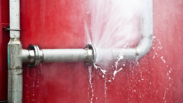 Best Sewage cleanup and water damage restoration  in Collings Lakes, NJ